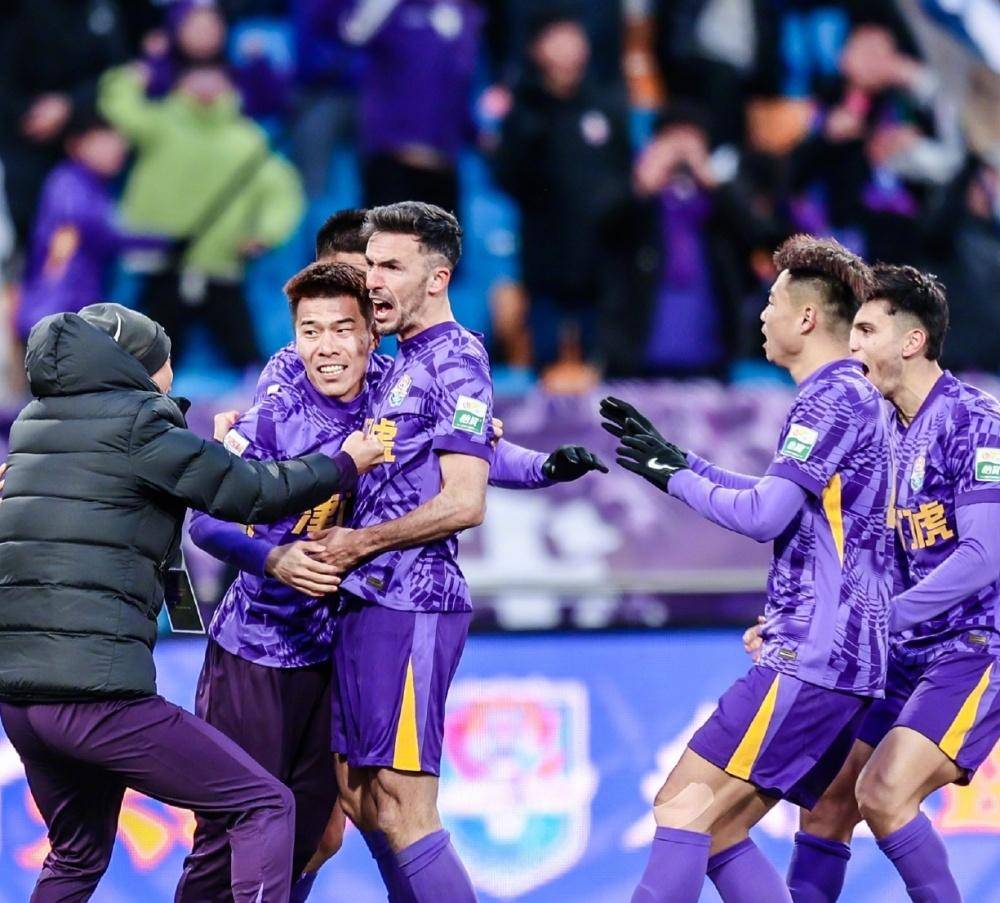 已经投入的 已经投入的