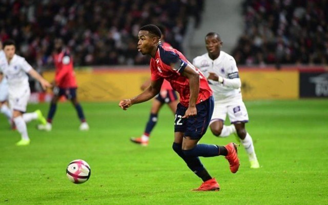 西亚卡姆 西亚卡姆